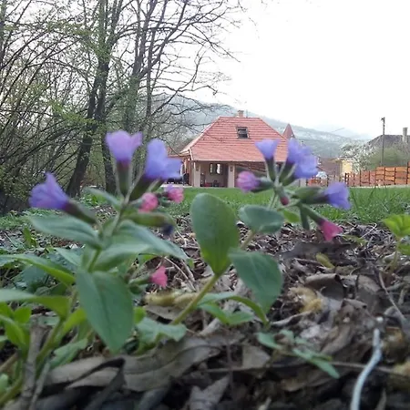 Hollos-patak Vendeghaz * Komloska